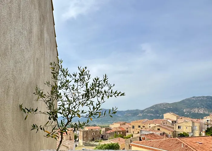 Bella 게스트하우스