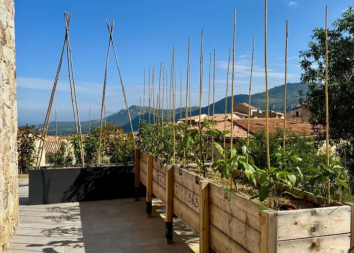 Bella 3* 칼렌자나