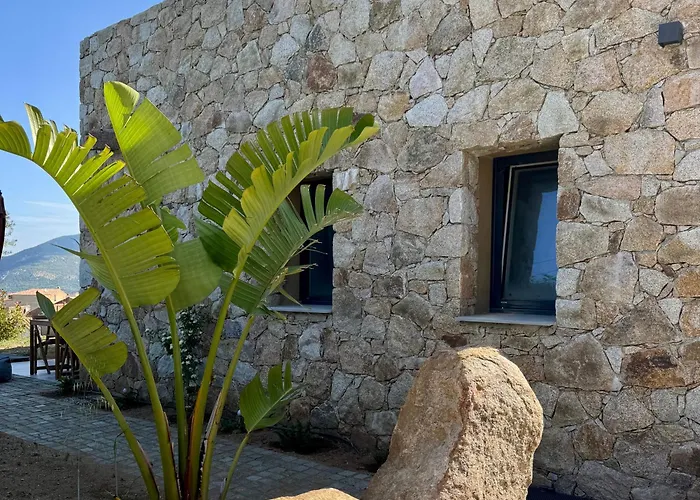 Bella 3* 칼렌자나